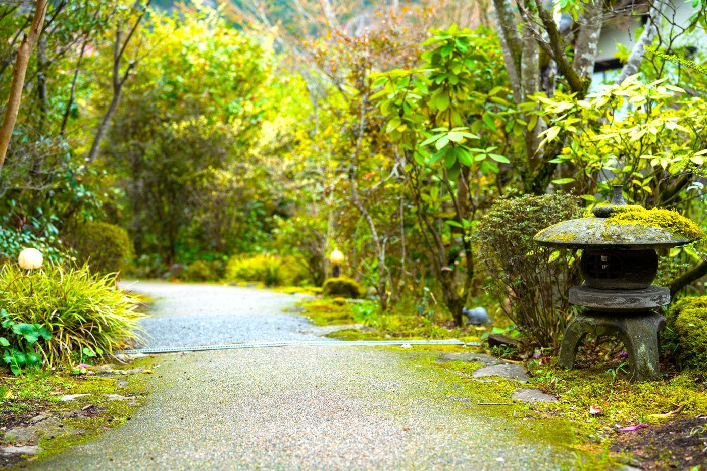 沿路