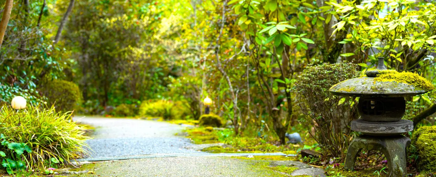 沿路
