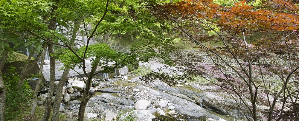 ロビーからの眺め