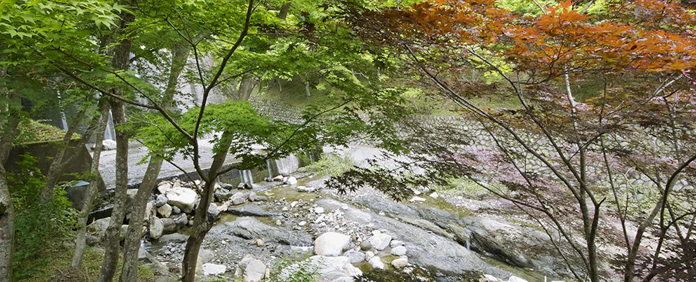 ロビーからの眺め