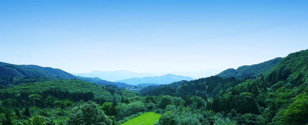 çªããè¦ããæ¯è²ä¸ä¾