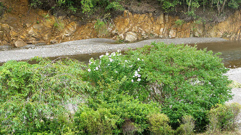 Seikyo no Yado Sansui