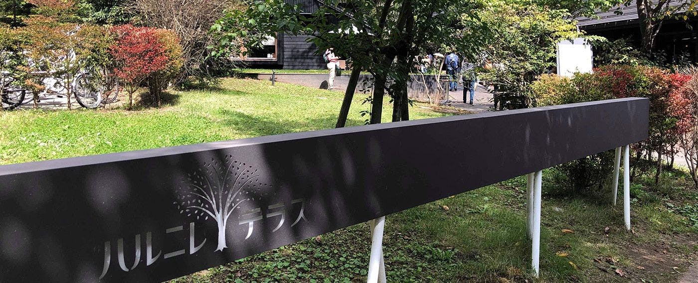 周辺観光スポット