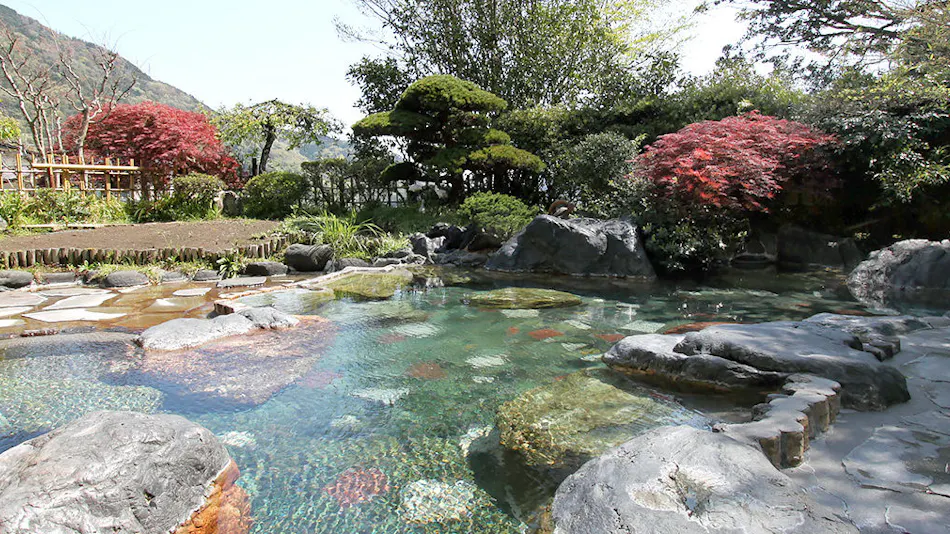 Onsen Ryokan Yusaka-so