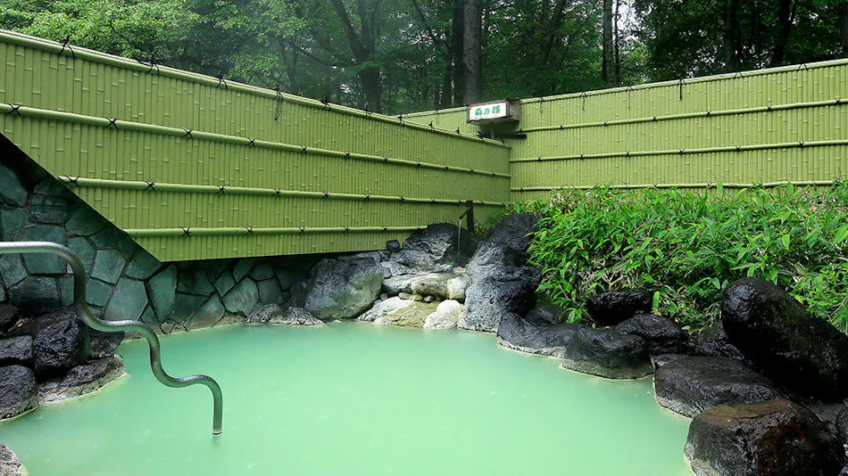 Nikko Astoria Hotel