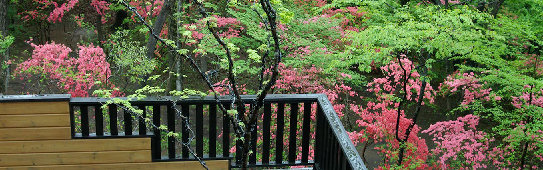 那須高原山房 小啄木