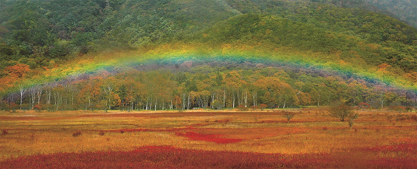 小田代ヶ原・戦場ヶ原の草紅葉