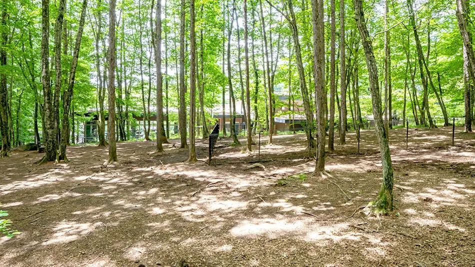 Wan Wan Paradise Yatsugatake