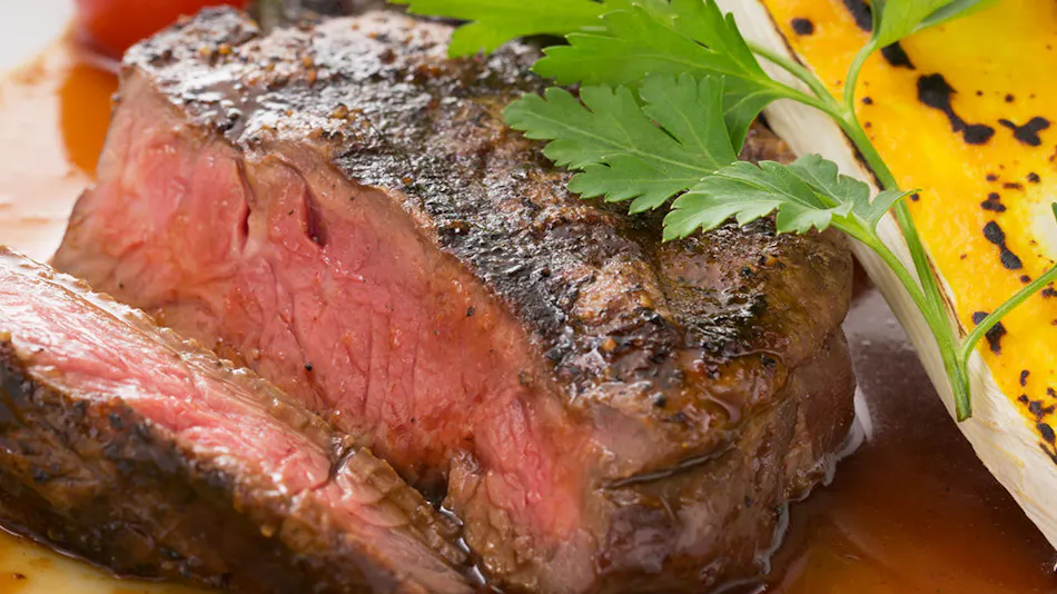 Matsumotoro Western-style Inn Pinon