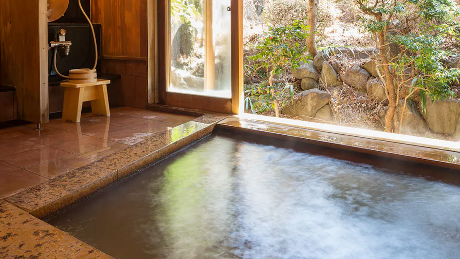 Matsumotoro Western-style Inn Pinon