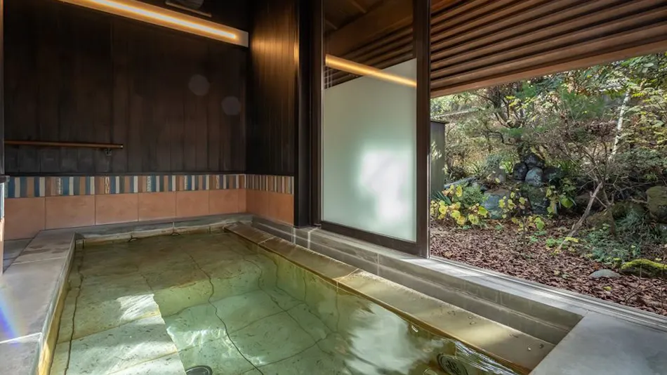 Matsumotoro Western-style Inn Pinon