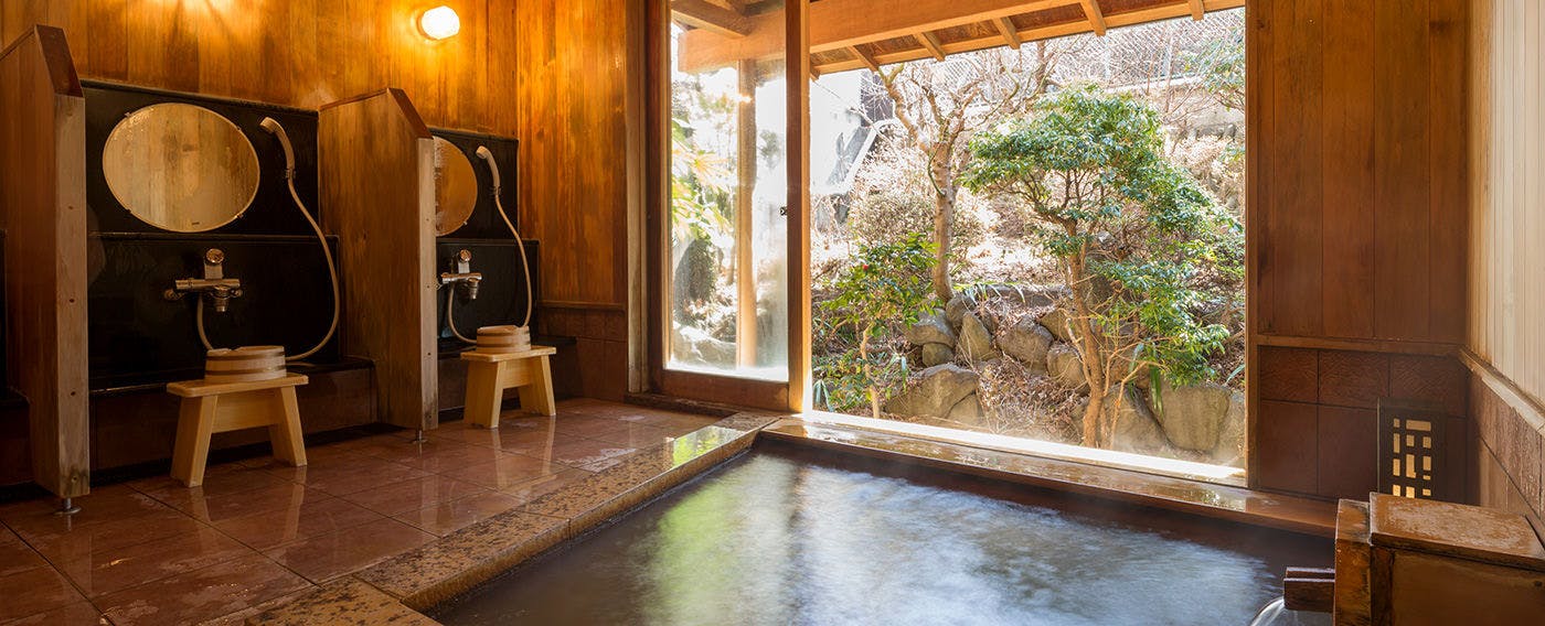 Matsumotoro Western-style Inn Pinon