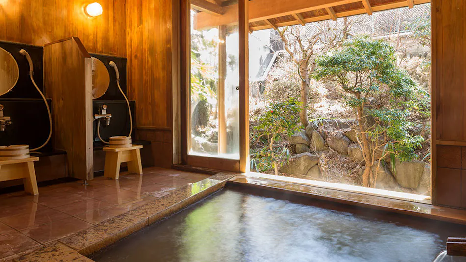 Matsumotoro Western-style Inn Pinon