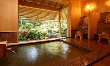 Matsumotoro Western-style Inn Pinon