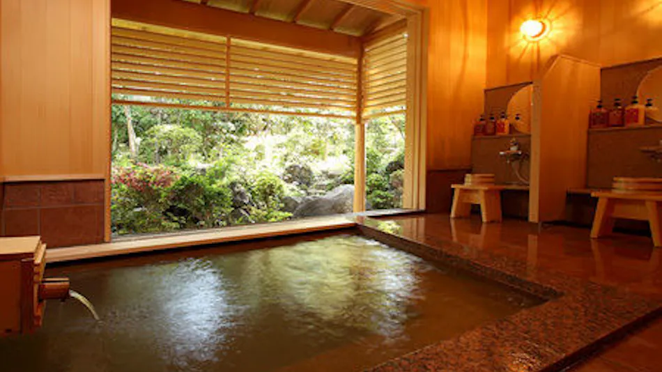 Matsumotoro Western-style Inn Pinon