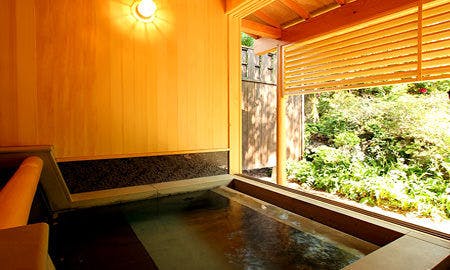 Matsumotoro Western-style Inn Pinon