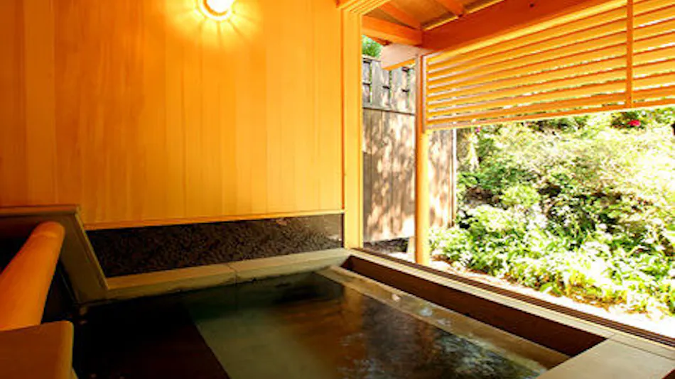 Matsumotoro Western-style Inn Pinon