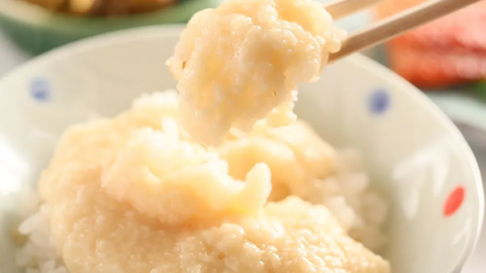 Shiga Kogen Shiroi Onsen Keikoku no Yu