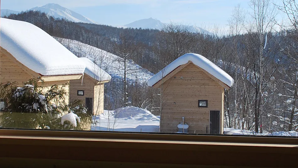 Auberge Ninguru Foret