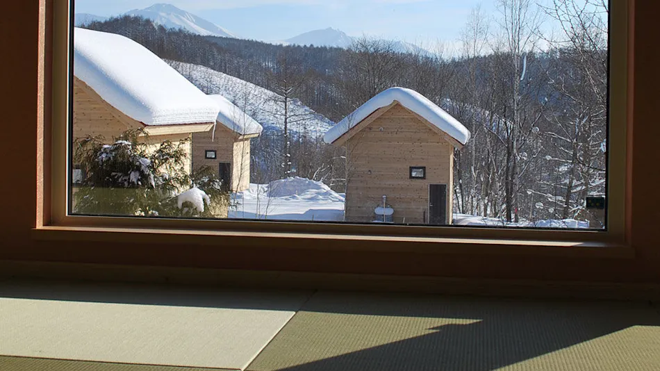 Auberge Ninguru Foret