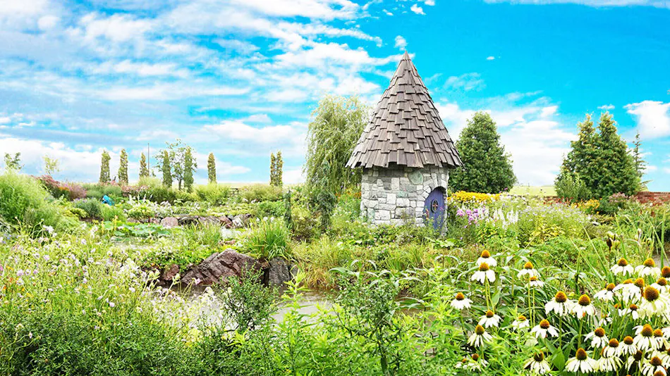Auberge Ninguru Foret