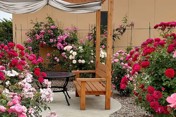 ระเบียง