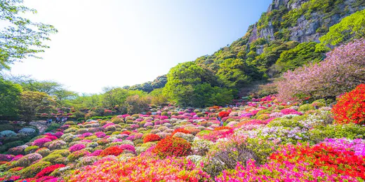 御船山楽園ホテル