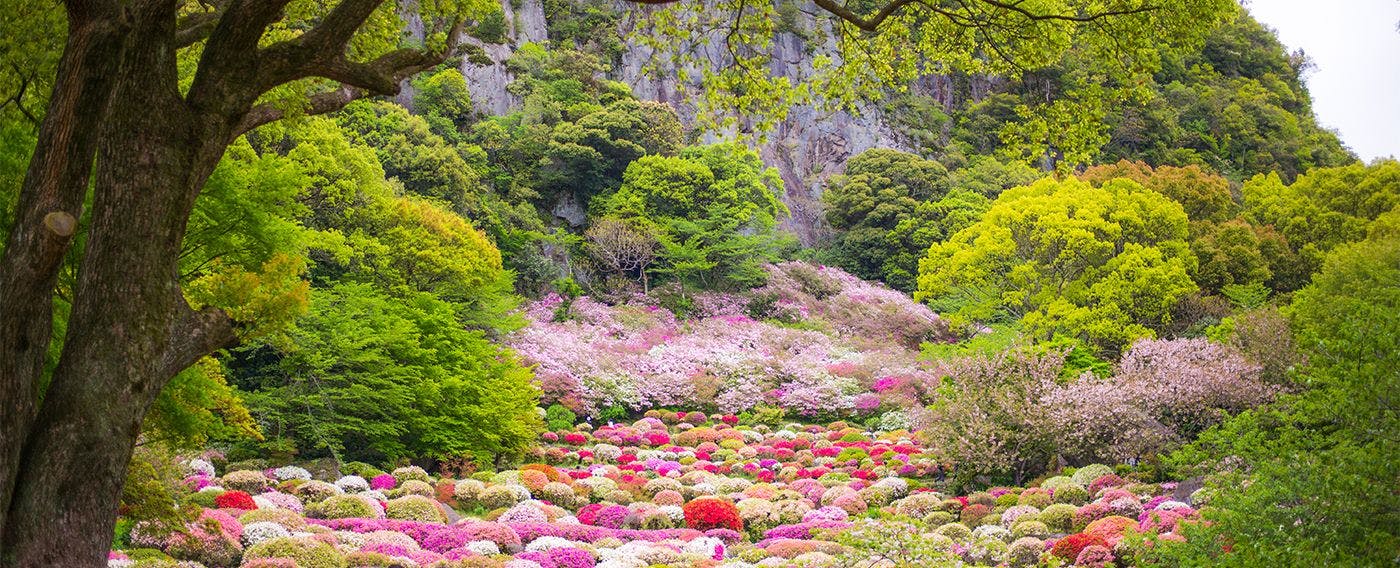 御船山楽園ホテル
