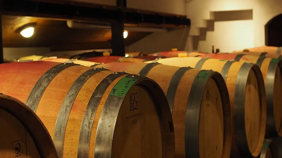Cave d'Occi Vinespa