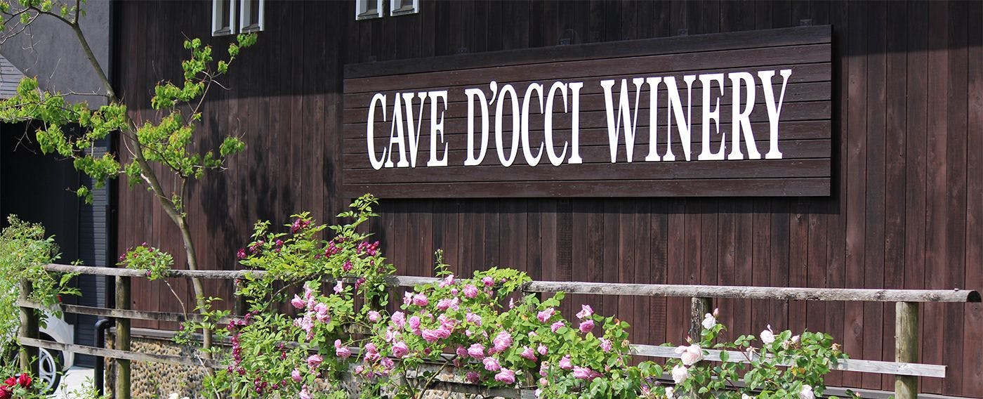 カーブドッチワイナリー