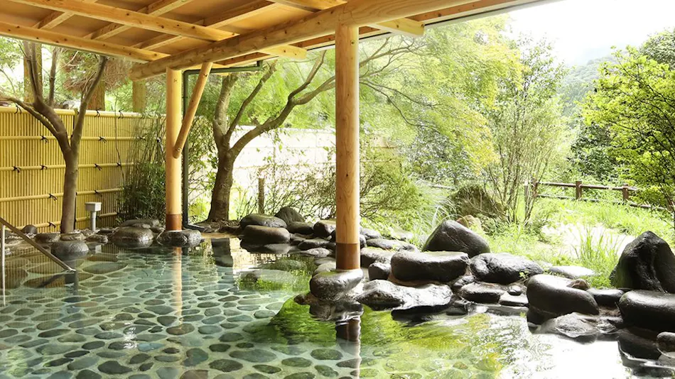 Tochigi Onsen Ayugaeri Falls View Accommodation Oyama Ryokan