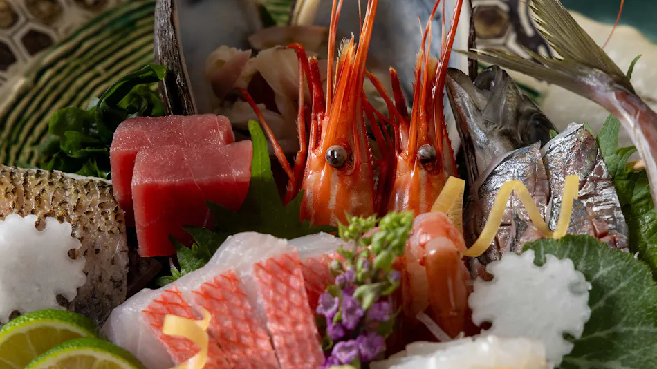 Izu-san Onsen Hotel New Sagamiya