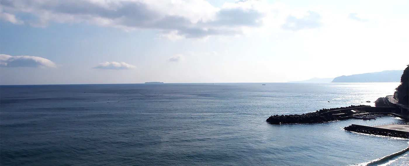 ตัวอย่างวิว