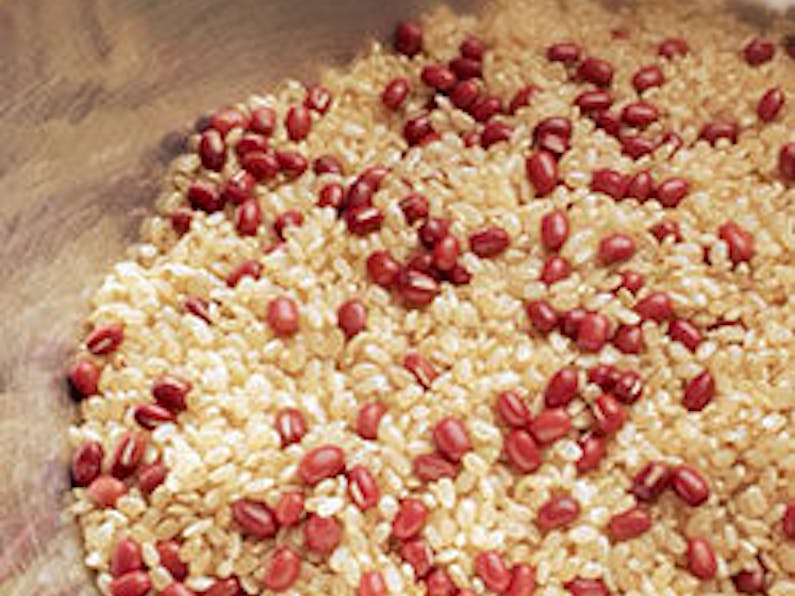 伊豆高原の小さな隠れペット宿 ブランニューデイ brand new day の宿泊プラン 宿泊予約は 一休 Com キラリト