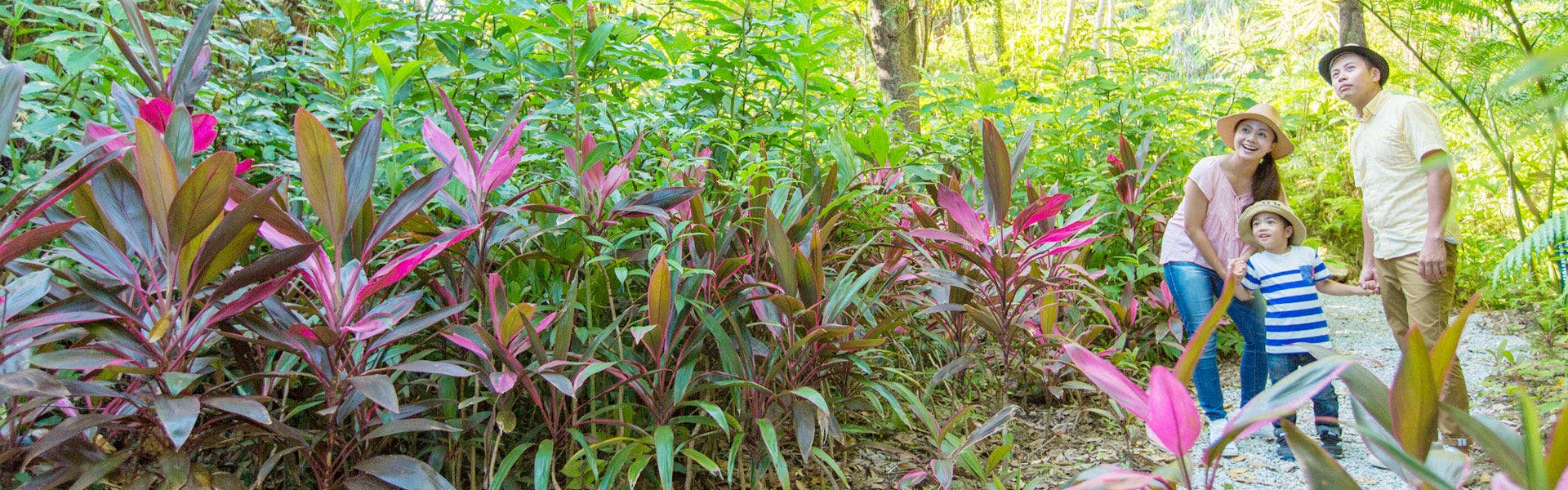 アクティビティ