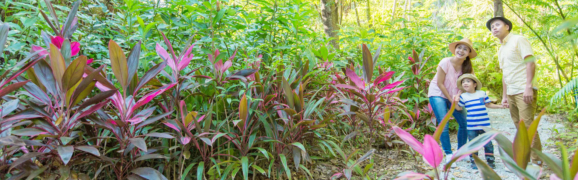 沖縄かりゆしビーチリゾート・オーシャンスパ