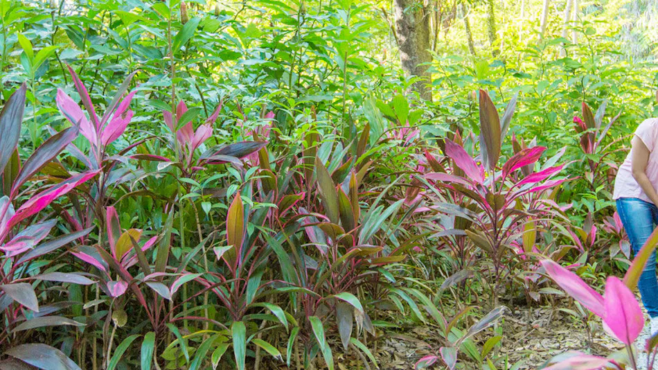 Okinawa Kariyushi Beach Resort Ocean Spa