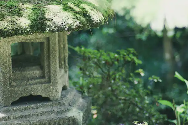 ทิวทัศน์