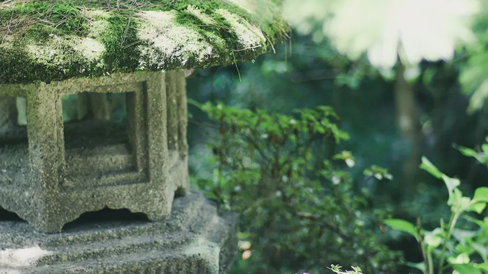 Hakutei Wakanoya