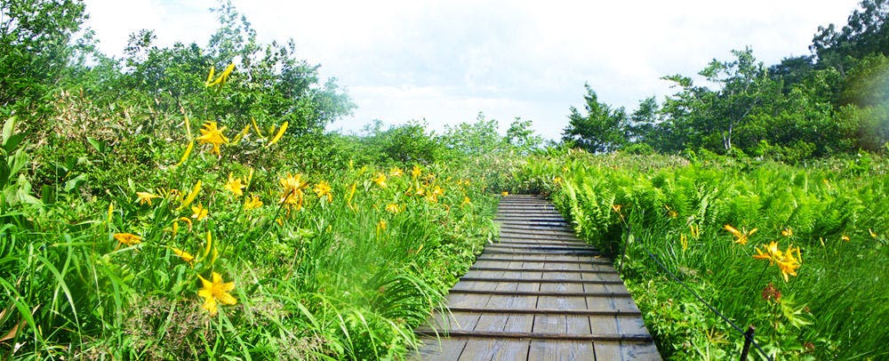 アクティビティ