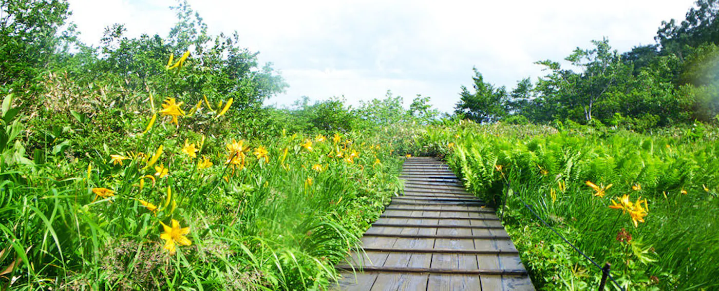 アクティビティ
