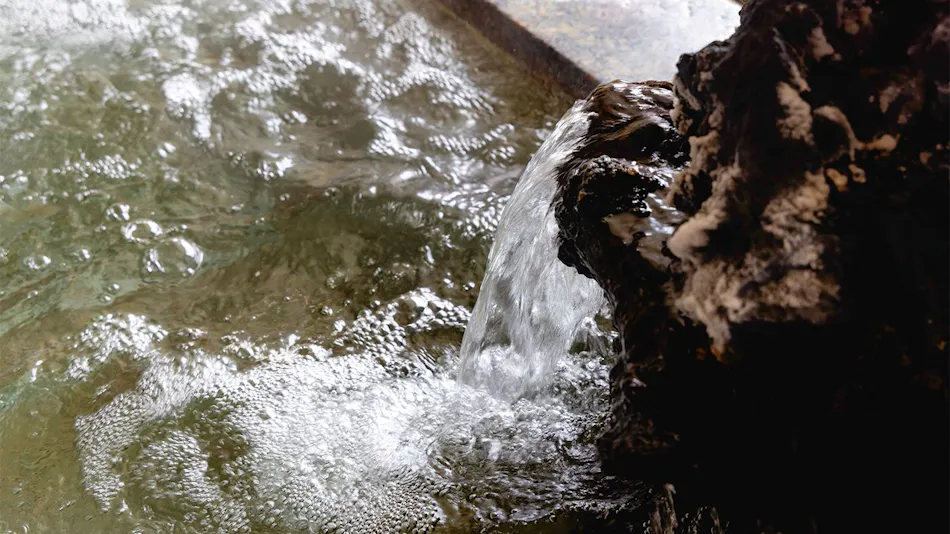 Inatori Tokai Hotel Yuen: A Scenic Hot Spring and Seafood Feast Inn