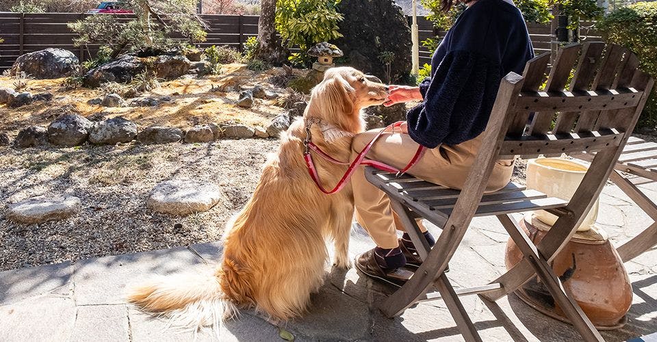 ภาพตัวอย่างการใช้บริการ