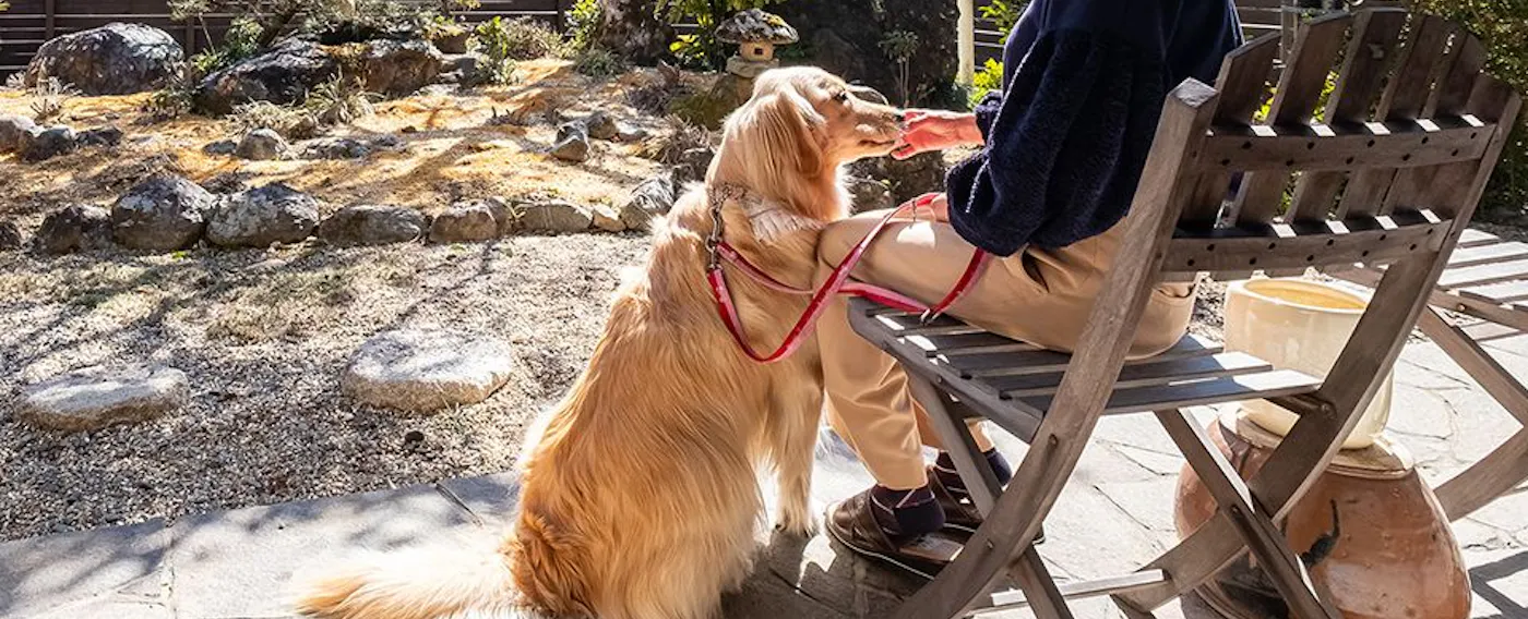 ภาพตัวอย่างการใช้บริการ