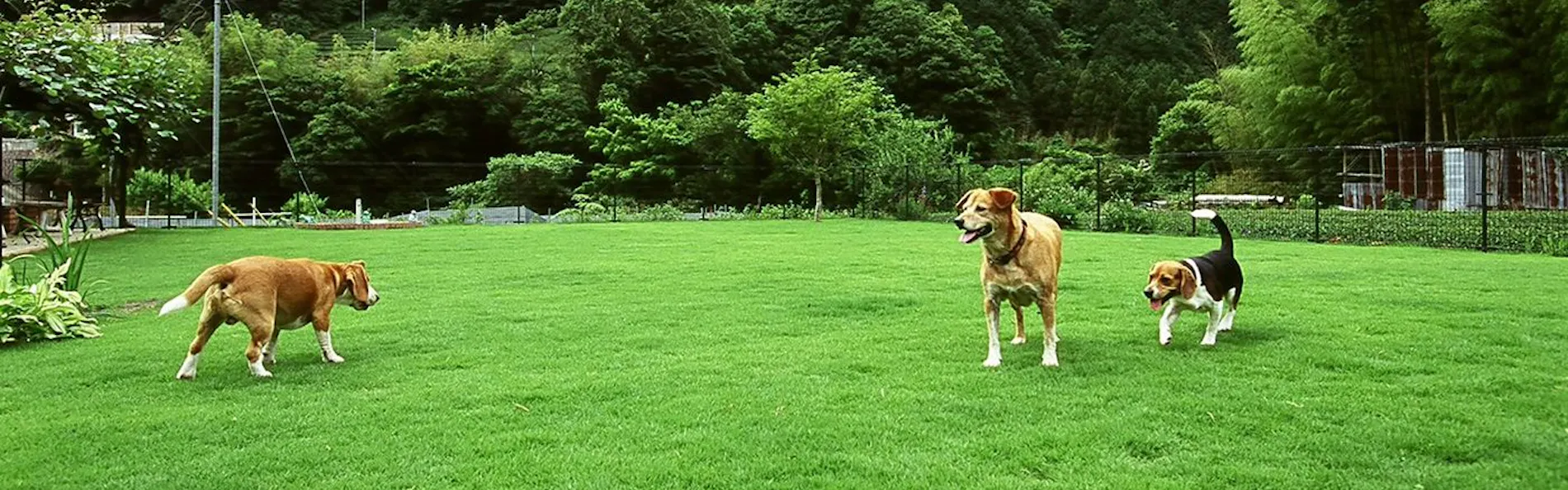 せせらぎの宿 紅竹(くれたけ)