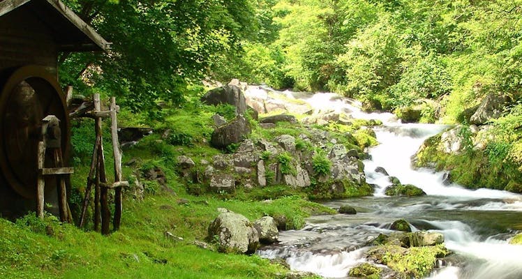 諏訪湖 蓼科 八ヶ岳のバリアフリーのお部屋 サウナありの おすすめホテル 旅館 6選 お得に宿泊予約 Yahoo トラベル 諏訪湖 蓼科 八ヶ岳のバリアフリーのお部屋 サウナありの おすすめホテル 旅館 6選 お得に宿泊予約 Yahoo トラベル
