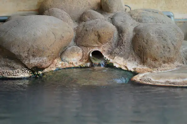 น้ำพุร้อน