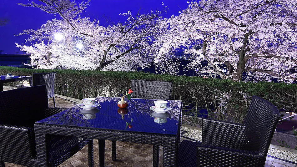 Nagaragawa Onsen Hotel Park