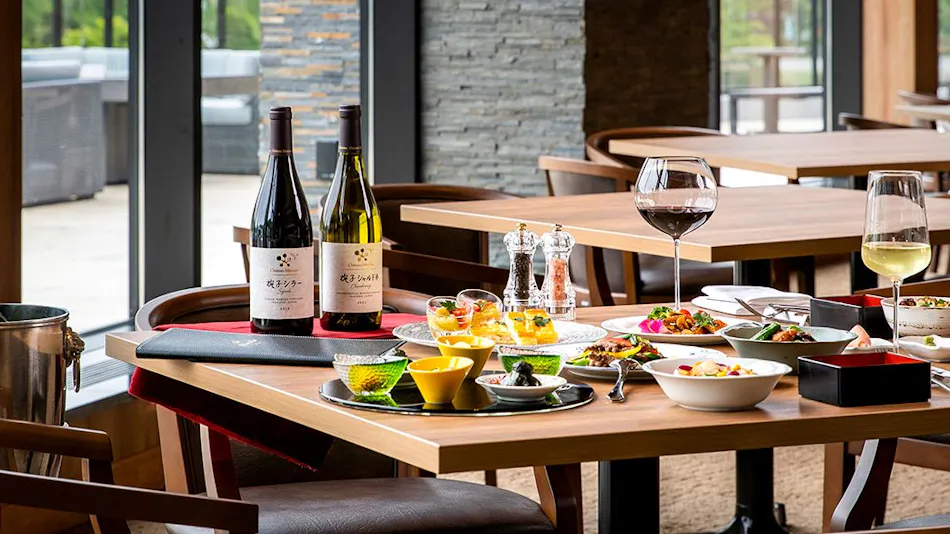 Shirakaba Resort Ikenotaira Hotel