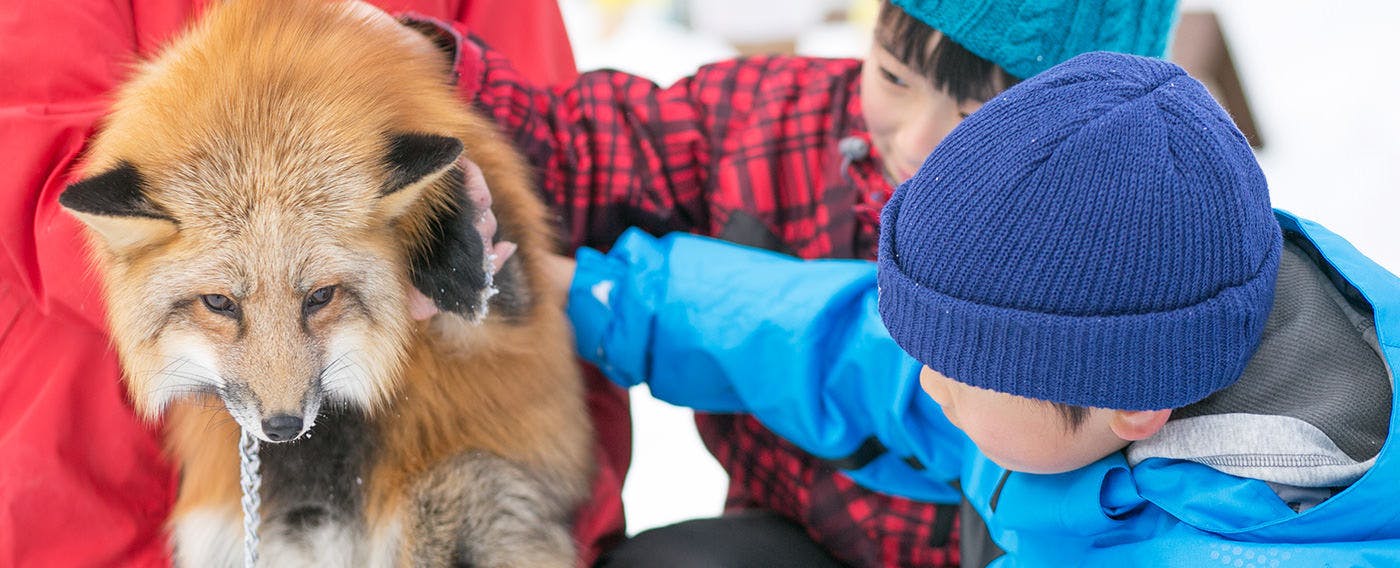 白樺リゾート 池の平ホテル